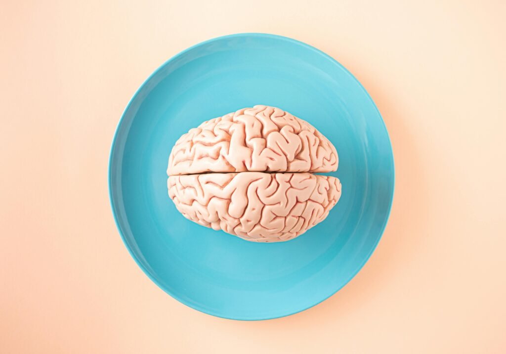 A human brain model placed on a blue plate, viewed from above against a pastel background.